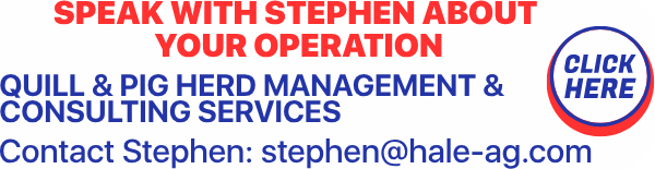 Speak with Stephen about your operation &mdash; Quill & Pig herd management & consulting services. Contact Stephen: stephen@hale-ag.com